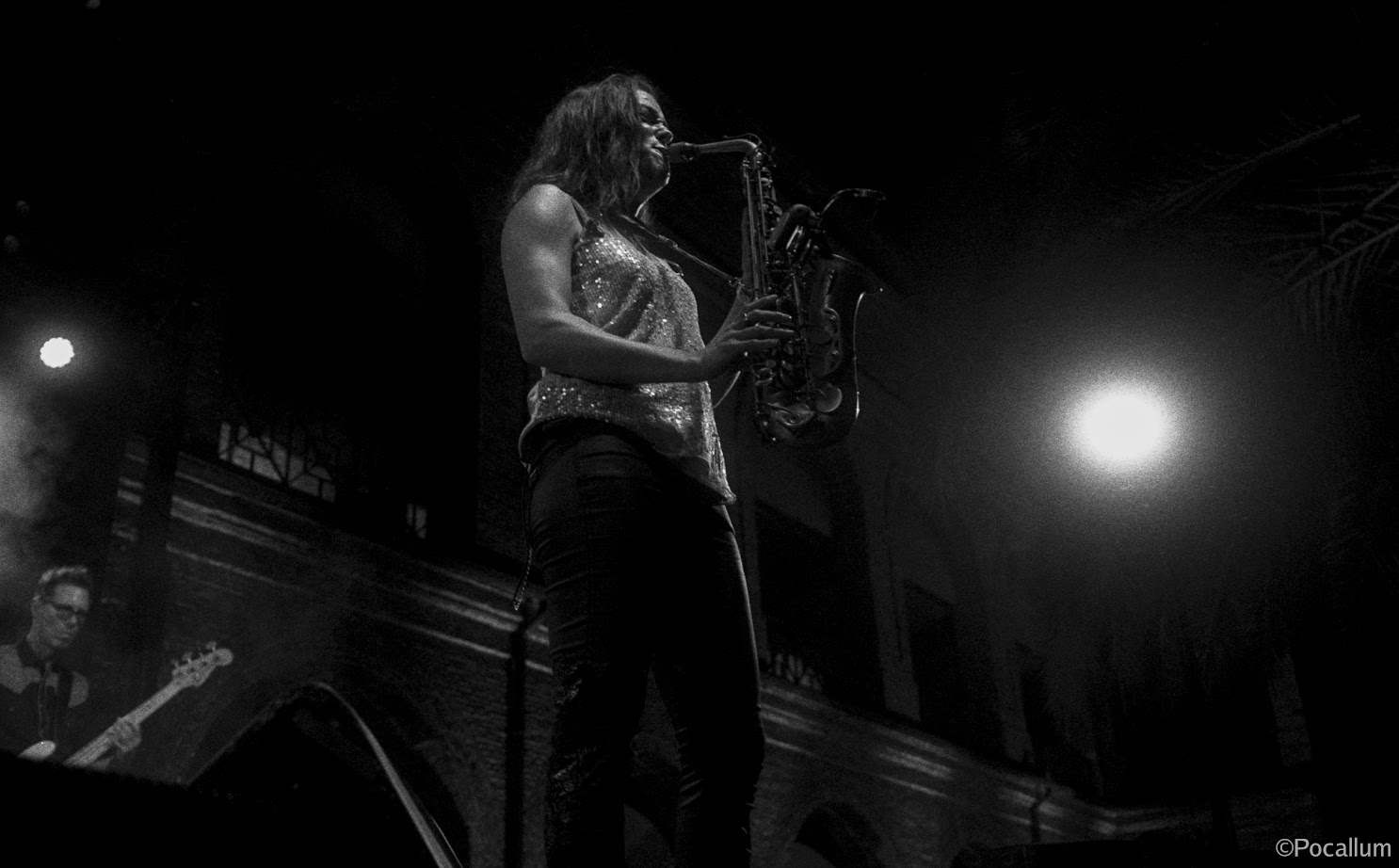 Forçats al Festival de Blues de Barcelona